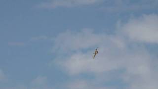 Marston 52quot Pterodactyl RC flight video [upl. by Sibylle]