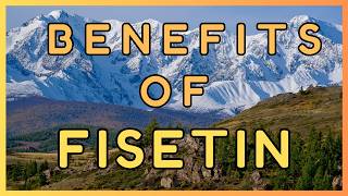 Fisetin benefits and best food sources 🌿🌿 [upl. by Genie623]