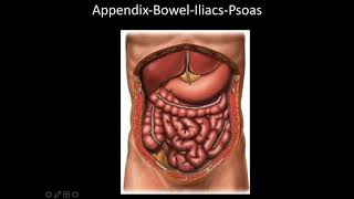 Pediatric Emergency POCUS Appendicitis [upl. by Joceline]