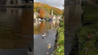 Autumn Evening at Hebden Bridge 🍂 shorts canal autumn autumncolors [upl. by Uhn553]