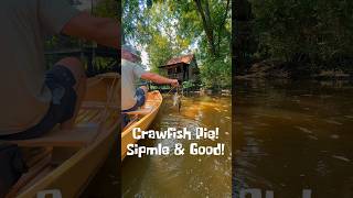 Crawfish Pie pollywogcabin crawfishpie fypシ゚viral foryoupage [upl. by Gerkman]