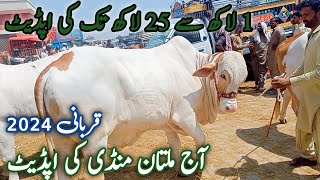 Multan Mandi BHI Tez h Bhai  Multan Mandi update  Sindhi Cattle Market  27 April 2024 [upl. by Tebazile]