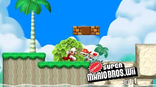 Depot Super Mario Bros Wii 11 [upl. by Ralph]