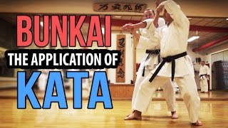 BUNKAI  The Practical Application of Karate Kata — Jesse Enkamp [upl. by Nimrahc]