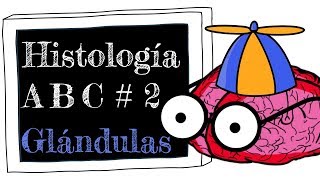 Histología A B C 2 Tejido Glandular [upl. by Rose]