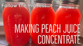 Making Peach Juice Concentrate  Use up those small peaches  Canning  Steam Juicer amp Steam Canner [upl. by Anaitit]