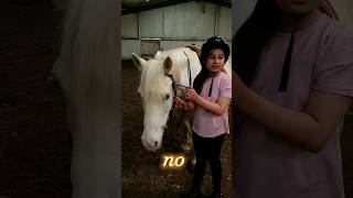 Dont give up💪  Giddy upampgo horses equestrian shortfeed horselover horsegirl pony [upl. by Eniawtna]