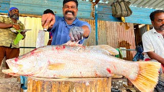 KASIMEDU 🔥 CHEETAH DURAI  12 KG BARRAMUNDI FISH CUTTING  IN KASIMEDU  HD VIDEO  FF CUTTING 🔪 [upl. by Nnylekoorb]