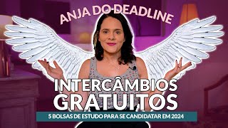 Como fazer intercâmbio gratuito em 2024 curso de inglês nos EUA phd e mais  Partiu Intercâmbio [upl. by Porter]