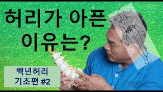 허리가 아픈 이유는 백년허리 기초편2 [upl. by Faxen]