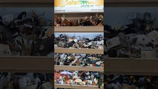 🏃‍♀️safariltd shopping schleich safari🙋‍♀️ [upl. by Mendelson]