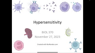 Immunology Fall 2023 Lecture 30 Hypersensitivity Part 1 [upl. by Anij652]