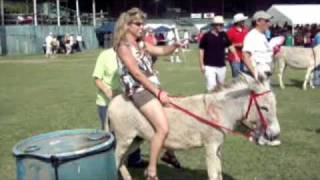 Donkey Derby Crucian Christmas Festival [upl. by Porett]