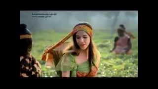 Beautiful Bangladesh  Land Of Stories  Discovery Bangladesh [upl. by Ennahtebazile]