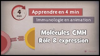 77◽ Rôle et expression des molécules du CMH [upl. by Erb]