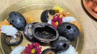 Shaligram stones [upl. by Oates]