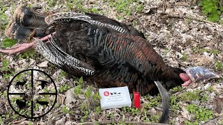 Wisconsin Turkey Hunt [upl. by Patti]