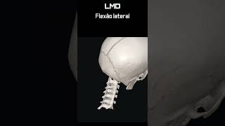 Cervical  Flexão Lateral 2  Movimento  Programa Anatomia 3D Software shorts anatomy biology [upl. by Normac]