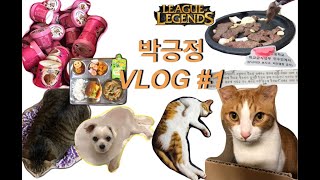 박긍정 vlog 1박긍정의 첫 번째 브이로그퇴사기간제교사아나운서지망생집사롤게임 [upl. by Liscomb431]