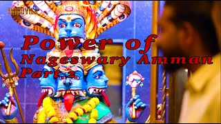 The power of Nageswary Amman  Arulmigu Sri Nageswary Jai Muniswarar Temple  Part 2 [upl. by Ahearn230]