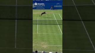 Grigor Dimitrov Hits Insane DIVING Volley Winner 😳 [upl. by Enneibaf]