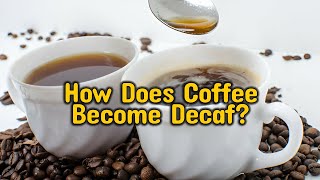 How Does Coffee Become Decaf The Decaffeination Process Explained [upl. by Cann251]