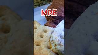 Best homemade survival MRE recipe mre pemmican survivalfood [upl. by Cassie]