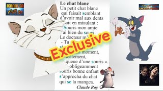 Le chat blanc Exclusive poésie chantée 😻 [upl. by Essilem]