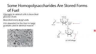 Chemistry of CarbohydratesLecture 1B [upl. by Yolane]