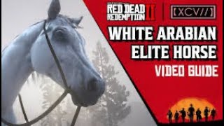 Catching white Arabian horse rdr2 ps5 gameplay [upl. by Keener]