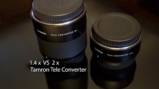 Tamrons 14x vs 2x Teleconverter Pros and Cons [upl. by Hgielanna635]