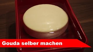 🧀 Gouda selber machen 🧀 holländischer Schnittkäse  Alles Käse [upl. by Joscelin329]