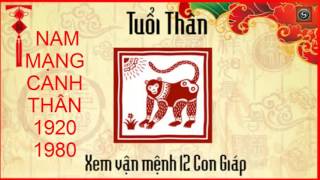 Tử vi Nam Mạng – Canh Thân Sinh năm 1920 1980 và 2040 [upl. by Fagaly]