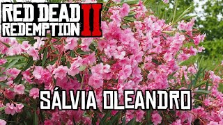 LOCALIZAÇÃO DE SÁLVIAOLEANDRO RED DEAD REDEMPTION 2 DESÁFIO DIÁRIO XBOXPS4PS5PC [upl. by Enoid]