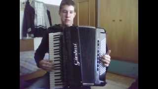 cavalleria rusticana intermezzo accordion [upl. by Vere494]