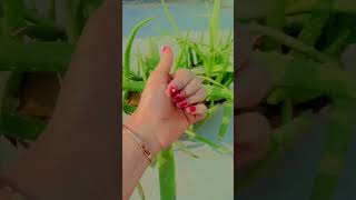 Tu aake dekh le 🥺💝likesubscribecommentMy YouTube short shortvideosubscribeshortyoutubeshort [upl. by Furlong]