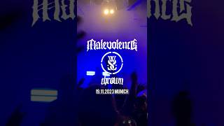 Malevolence  While She Sleeps  Thrown  LIVE in Munich 2024 metalcore hardcore moshpit live [upl. by Ennagem]