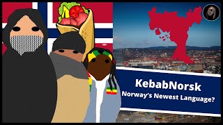 What is Kebabnorsk KebabNorwegian  Norways Newest Language [upl. by Rollins]