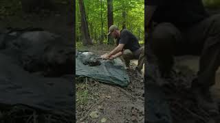 bushcraft build camp camping survival shelter wildlife skills lifehacks forest [upl. by Granthem]