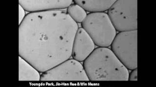 Grain growth in Octachloropropane in a partial melt system SUNY [upl. by Zielsdorf]