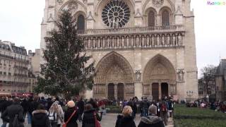 All bells ringing at Notre Dame Cathedral in Paris [upl. by Moshe]