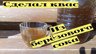 Сделал квас из березового сока 3 рецепта 6 [upl. by Jobina]