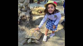 Beaconhouse Al Khuwair Kindergarten School Trip [upl. by Ewall]