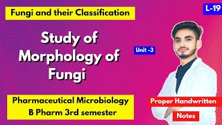 L19। U3। Study of morphology of fungi। Classification of fungi। Microbiology B Pharm 3rd sem। [upl. by Sandeep]