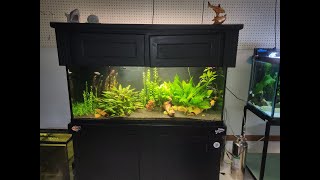 Aquarium CoOp Unboxing [upl. by Saiff]