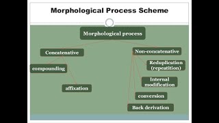 Morphological Processes Definitions and Examples [upl. by Laynad]