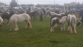 Ballinasloe horse fair 2022 Great crowd great weather great to be back [upl. by Atalie]