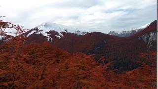 Gorgeous Fall Colors OF Patogonia Bariloche [upl. by Talich667]