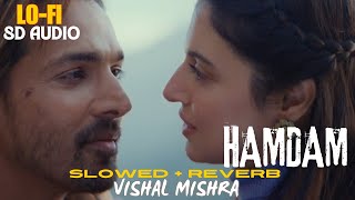 Hamdam Song VishalMishra  Lofi Slowed and reverb Version  Lyrical Video [upl. by Dania]