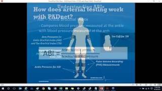 How to perform a full arterial study with PADnet [upl. by Sukramed156]